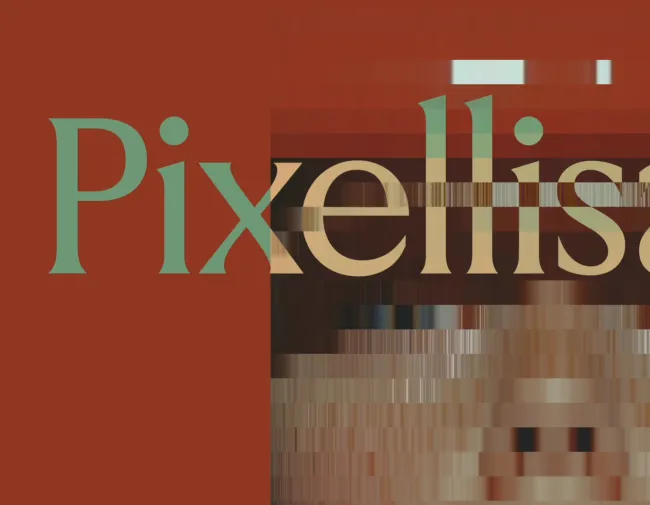 Pixellisation