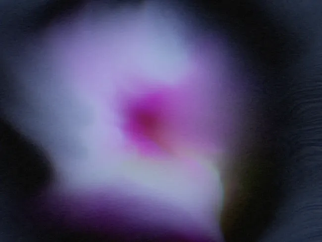 Ambient Music Generator